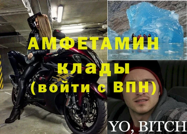 прущие грибы Баксан