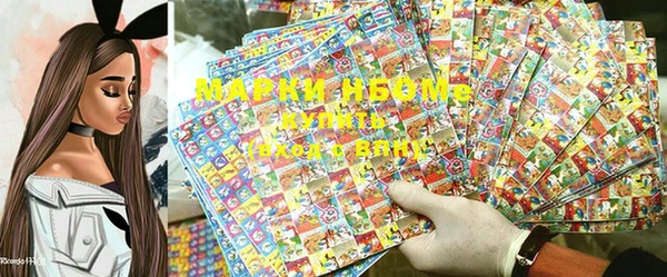 прущие грибы Баксан