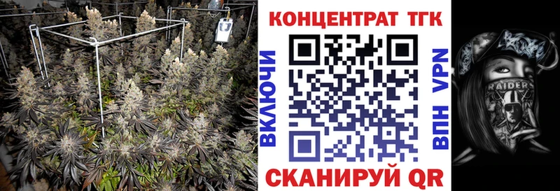 Дистиллят ТГК Wax  Благодарный 