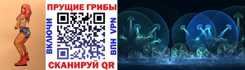 продажа наркотиков  kraken как зайти  Псилоцибиновые грибы мухоморы  Благодарный 